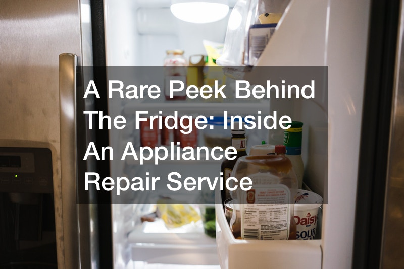 A Rare Peek Behind The Fridge  Inside An Appliance Repair Service