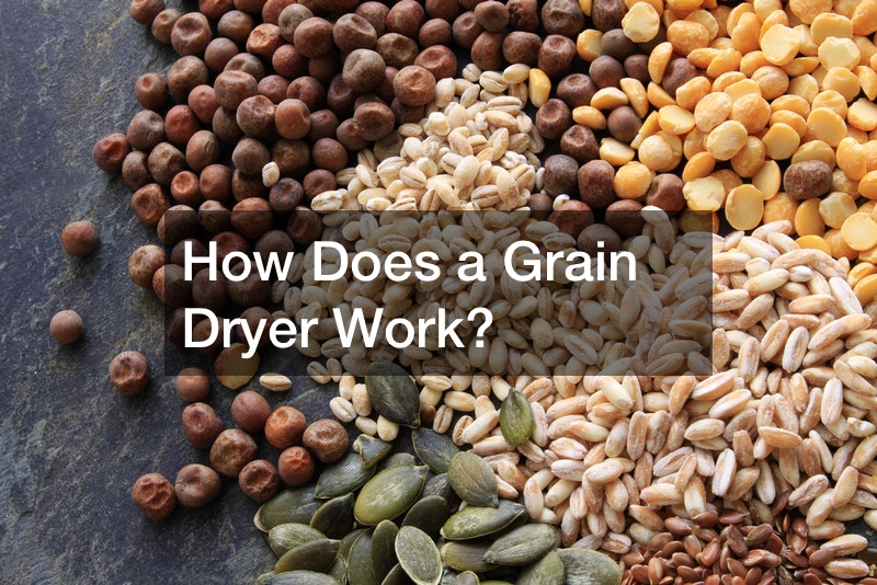 How Does a Grain Dryer Work?